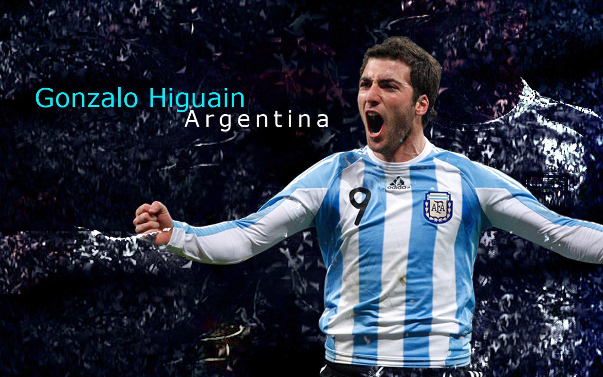 中田英寿：亚洲足球的先行者，留洋之路的挑战，中田英寿实况